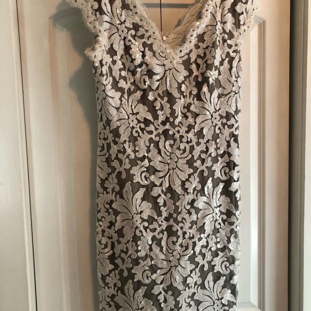 Tadashi Shoji Elegant Lace Dress in Cream and Gray